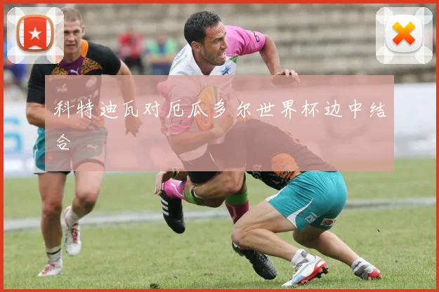 科特迪瓦对厄瓜多尔世界杯边中结合
