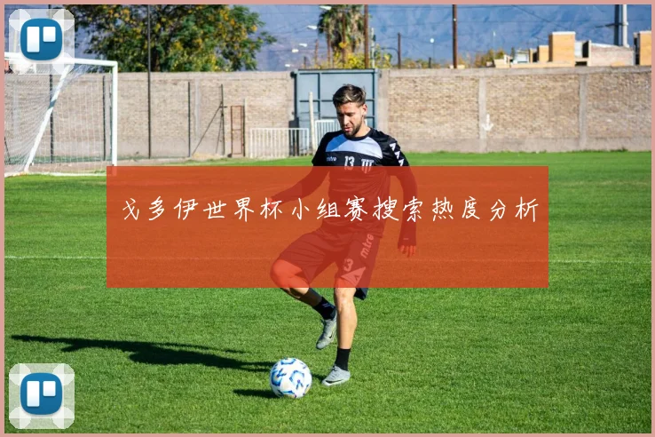 戈多伊世界杯小组赛搜索热度分析