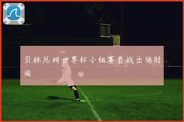 贝林厄姆世界杯小组赛首战出场时间
